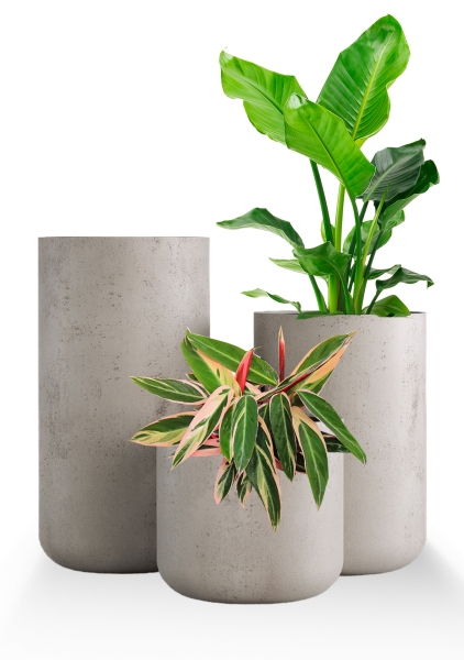 Кашпо CONCRETIKA TOPPER CONCRETE WHITE