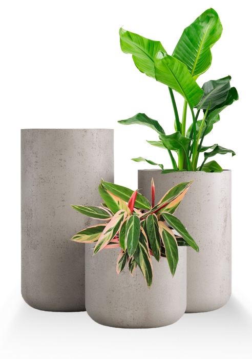 Кашпо CONCRETIKA TOPPER CONCRETE WHITE