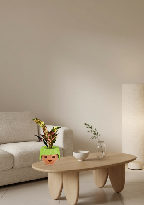 Кодиеум 8/20 см в OJO