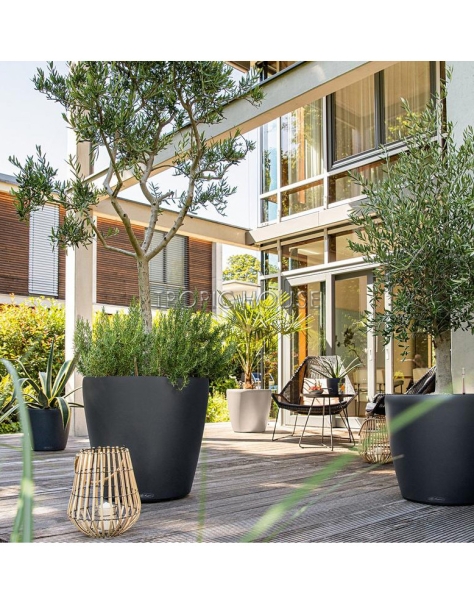 Кашпо LECHUZA CLASSICO Color 70x65 см