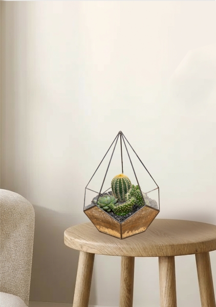 Флорариум - мини капля с кактусами и суккулентами