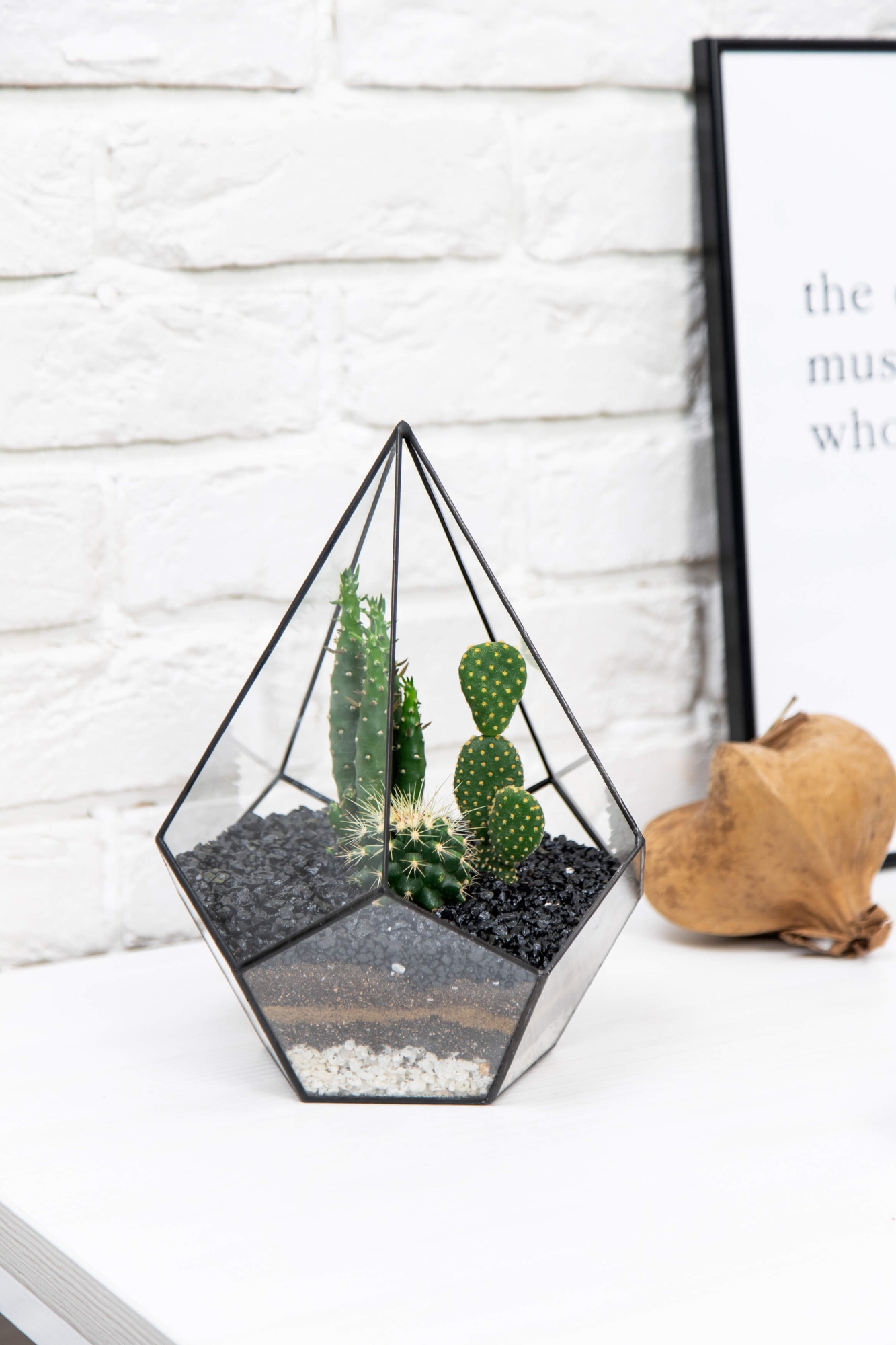 Флорариум-капля с мини-кактусами