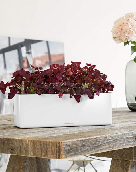 Кашпо LECHUZA CUBE Glossy Triple 14х13.5 см