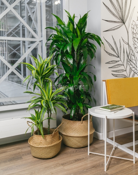 Корзина большая крафт