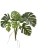 Монстера куст 70 см