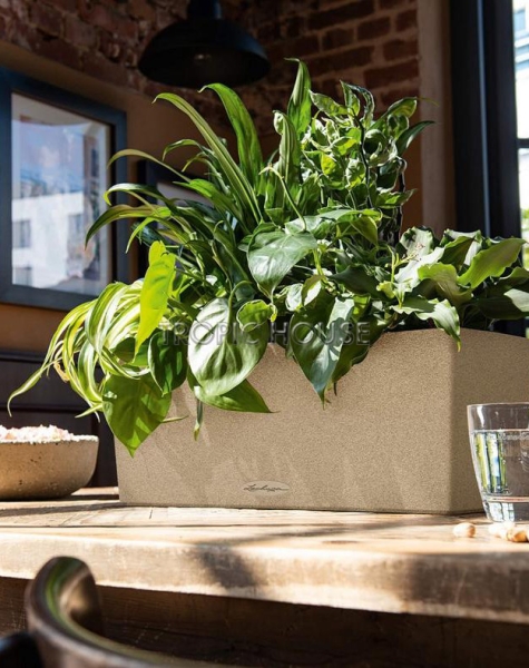 Кашпо LECHUZA BALCONERA Stone 50х19 см