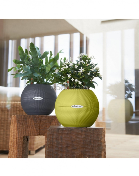 Кашпо LECHUZA PURO Color 20х16 см