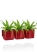 Асплениум Антикум Осака в ЗЕЛЕНАЯ СТЕНА Home Kit Glossy 15