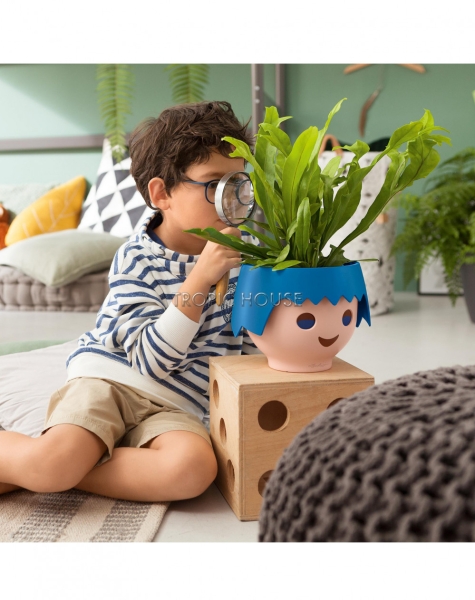 Кашпо LECHUZA OJO 21х15.8 см