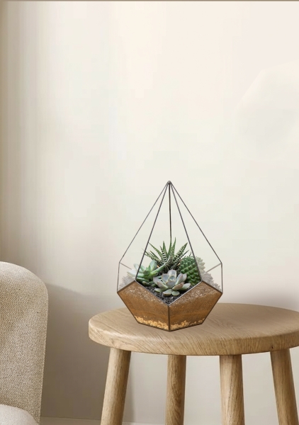 Флорариум - капля с кактусами и суккулентами