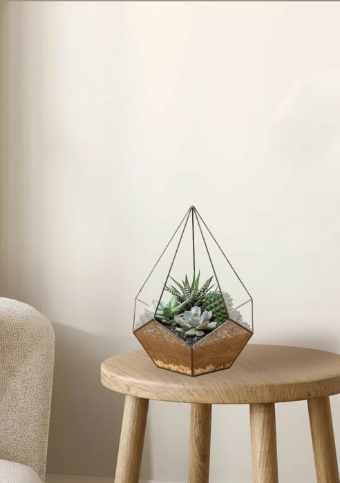 Флорариум - капля с кактусами и суккулентами