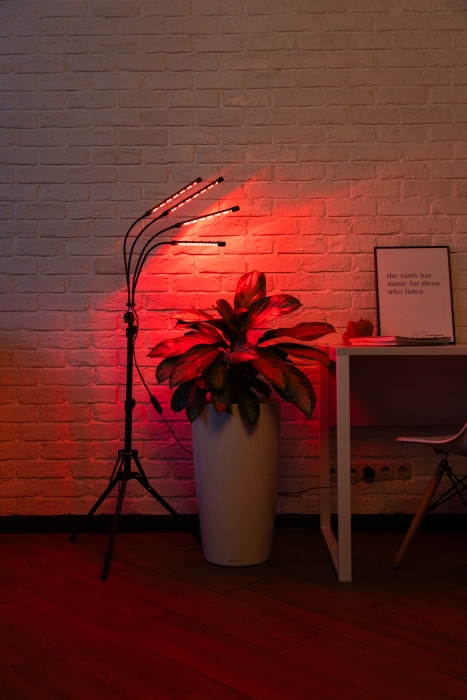 Фитолампа напольная со штативом, 40 Ватт