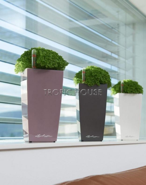 Кашпо LECHUZA MINI-CUBI 9х18 см