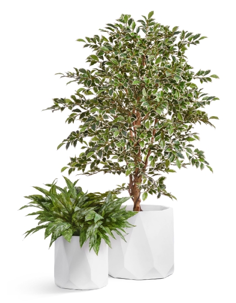 Кашпо TREEZ ERGO, Многогранник, Белый камень