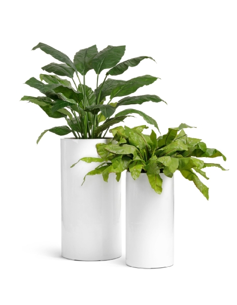 Кашпо TREEZ Effectory, Высокий цилиндр, Белый глянцевый лак