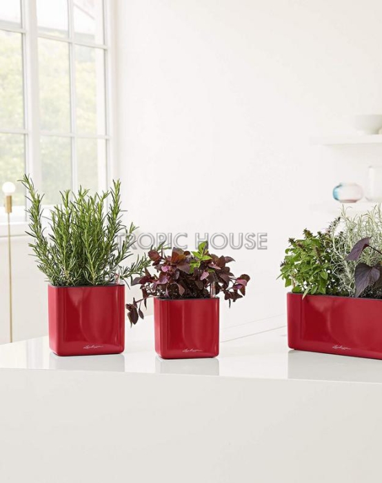 Кашпо LECHUZA CUBE Glossy 16х16 см