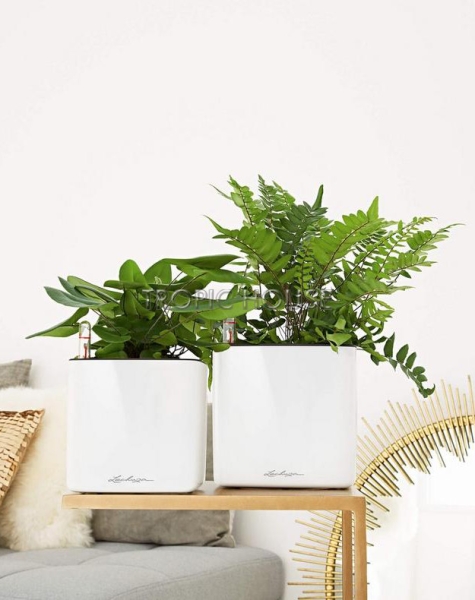 Кашпо LECHUZA CUBE Glossy 16х16 см