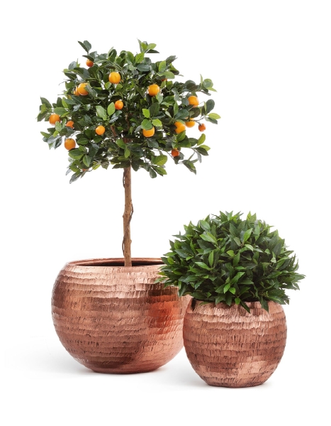 Кашпо TREEZ Effectory, Полусфера, Розовая Медь Чеканка