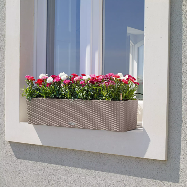 Петуния Цветной Микс в BALCONERA Cottage 80 Петуния Цветной Микс в BALCONERA Cottage 80