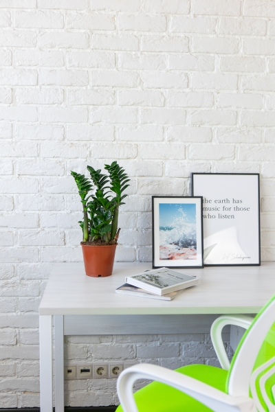 Замиокулькас Зензи 14/50 см