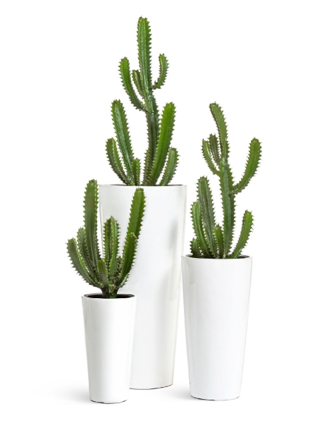 Кашпо TREEZ Effectory, Конус, Белый глянцевый лак