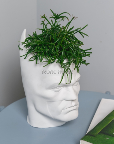 Кашпо для детской Бэтмен