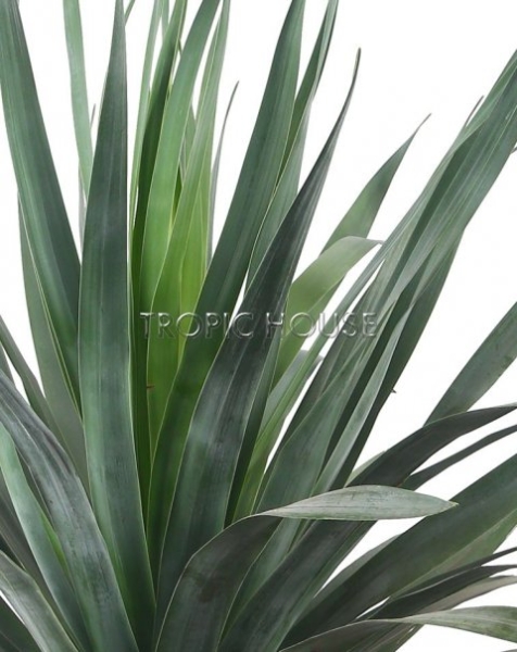 Юкка Эксклюзив 38/100 см