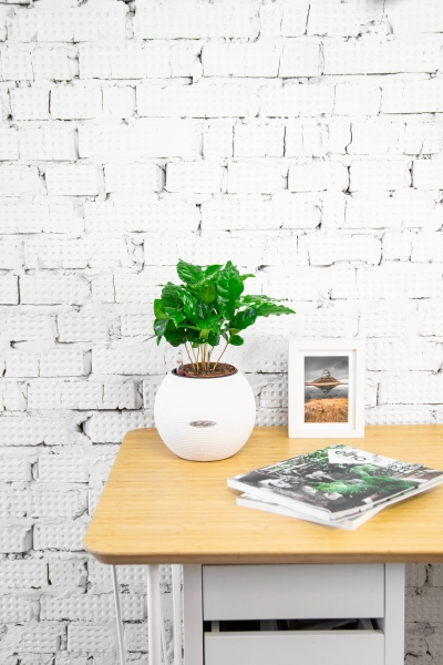 Кофе в PURO 20 Кофе в PURO 20