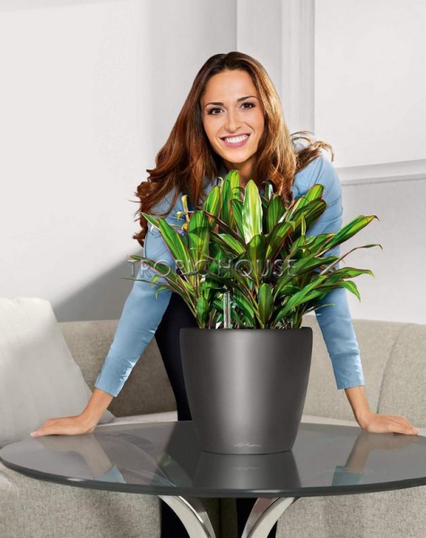 Кашпо LECHUZA CLASSICO LS 28х26 см