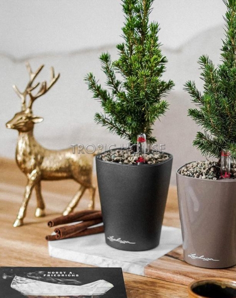 Кашпо LECHUZA MINI-DELTINI 10х13 см