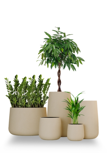 Кашпо CONCRETIKA CONE SAHARA