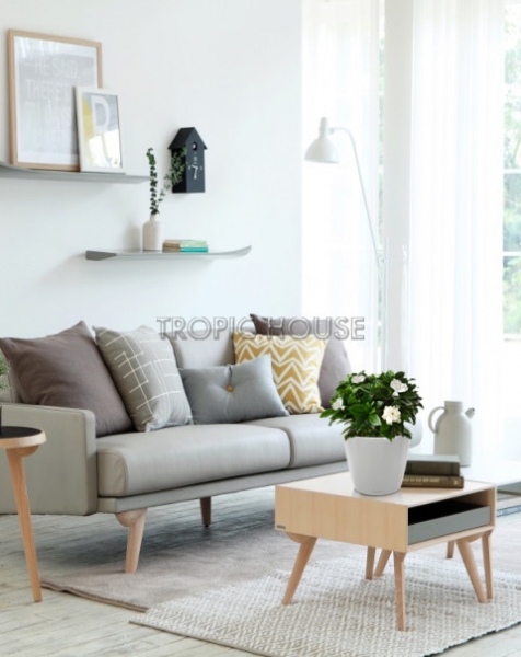 Гардения Жасминовидная в CLASSICO LS 21