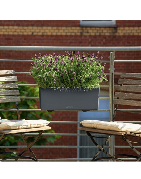 Кашпо LECHUZA BALCONERA Color 50х19 см