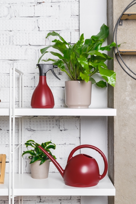 Лейка для комнатных цветов Medusa (красное вино)