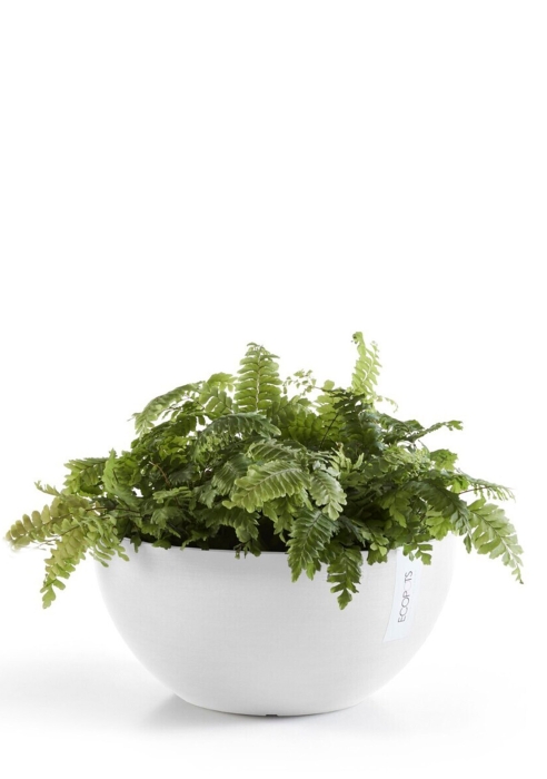 Ecopots Brussels 30