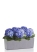 Гортензия Голубая в BALCONERA Stone 50