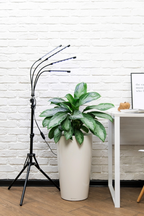 Фитолампа напольная со штативом, 40 Ватт