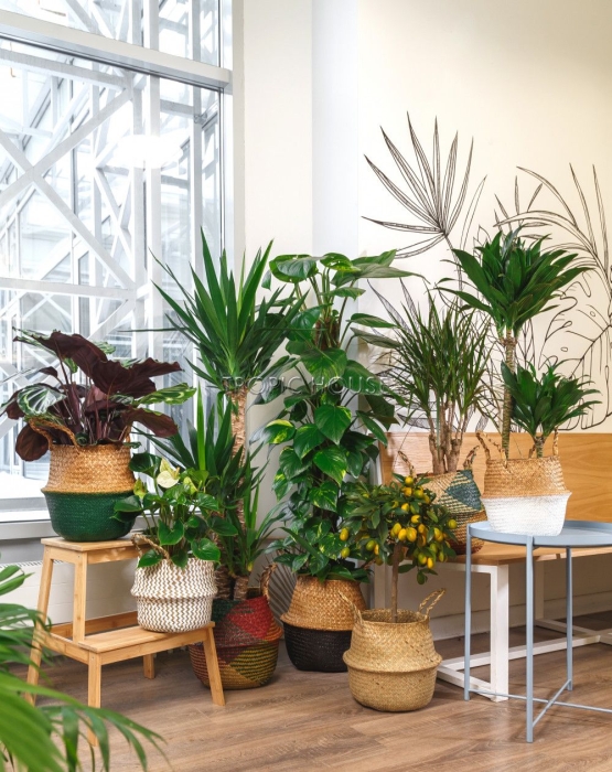 Корзина большая цветная