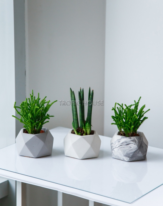 Кашпо бетонное настольное ТН 07