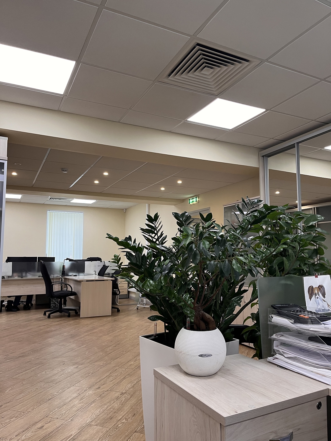 СЕРВИСНЫЙ УХОД ЗА РАСТЕНИЯМИ СЕРВИСНЫЙ УХОД ЗА РАСТЕНИЯМИ