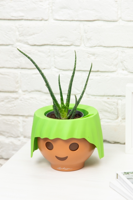 Алоэ Вера в OJO