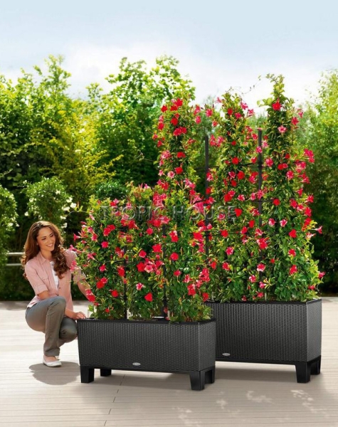 Кашпо LECHUZA TRIO Cottage 30х34 см