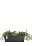 Ecopots BRUGES L55 W17 H17