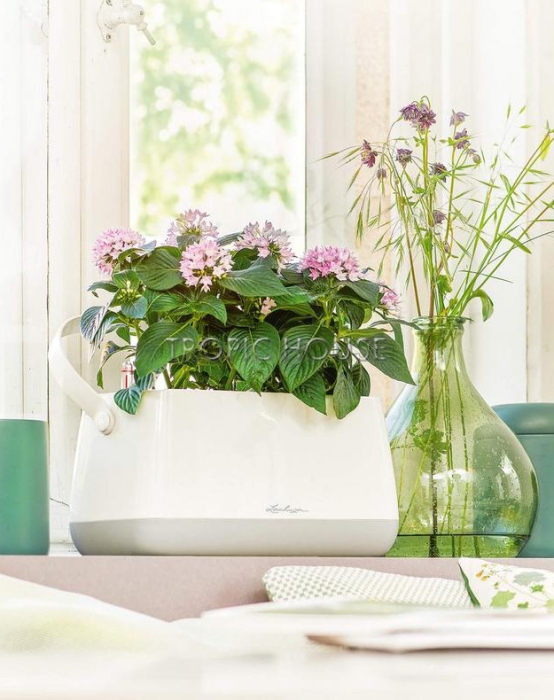 Корзинка для растений LECHUZA YULA 38х33 см