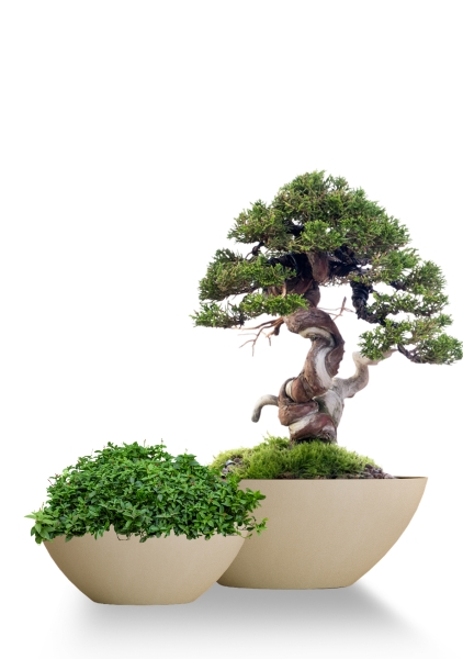 Кашпо CONCRETIKA BONSAY SAHARA