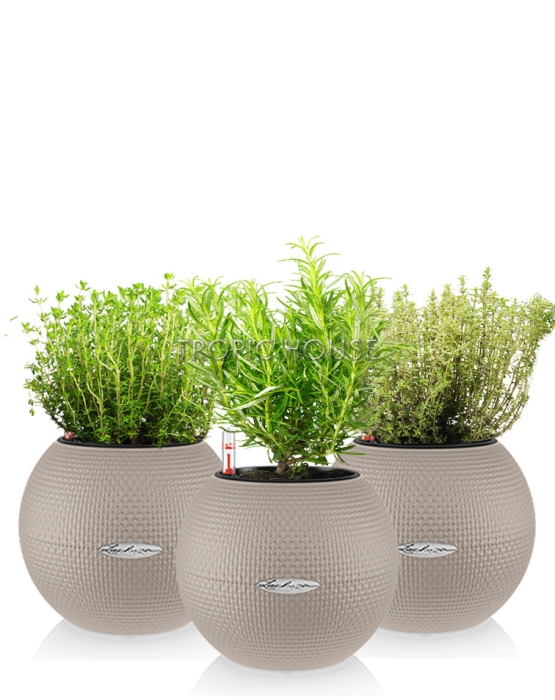 "Набор для кухни" Пряные травы PURO 20/30 см, песочно-коричневый (3 шт.)