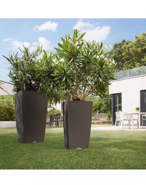 Кашпо LECHUZA CUBICO Cottage 30х56 см