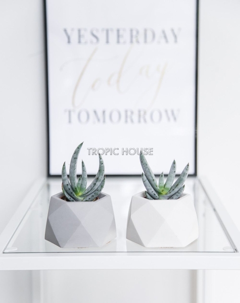 Кашпо бетонное настольное ТН 07