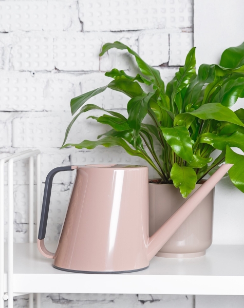 Лейка для комнатных цветов Loft (пудровый)