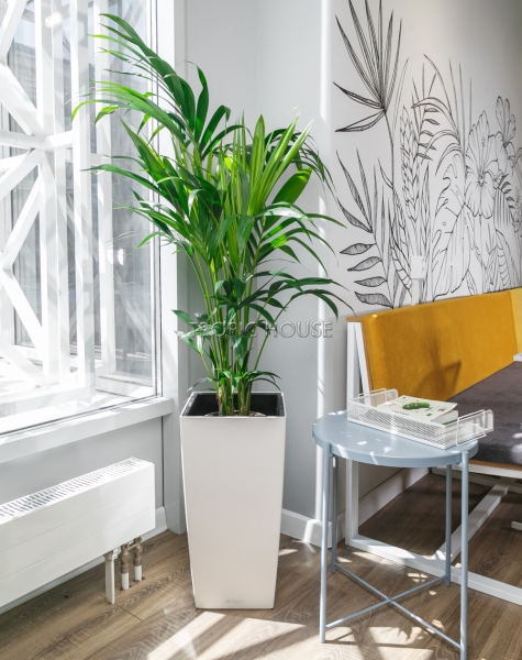 Ховея 24/130 см в CUBICO 30 Ховея 24/130 см в CUBICO 30